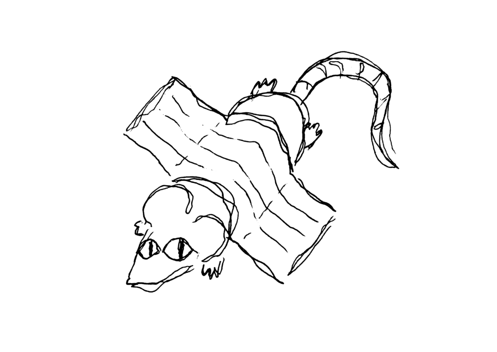 A crude hand-drawn doodle of a mouse, taped to something.